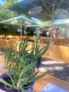 Grimmler Alm Biergarten & Restaurant - 32