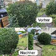 Grubers Entrümpelung + Hausmeisterservice und Tatortreinigung - 5