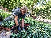 Grün an Melaten GmbH - Grün an Melaten GmbH