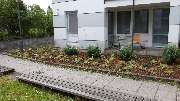 Grün & mehr Garten- und Landschaftsbau Thorsten Merkle - 10