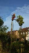 Grün & mehr Garten- und Landschaftsbau Thorsten Merkle - 6