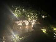 Grün & mehr - GALLERY