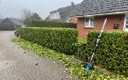 Grünblick | Garten- und Objektpflege - 3