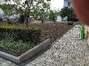 Grüner DauMen - GALLERY