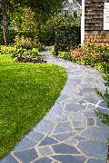 Grüner DauMen - GALLERY