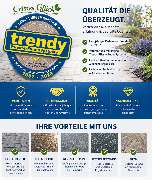 Grünes Glück - 3