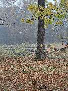 GrünWerk Daniel Bodenstab - 32115413-ab54-4be5-aee2-a0885c58f0b6.jpeg