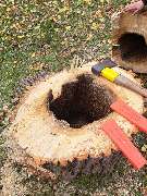 GrünWerk Daniel Bodenstab - 632e570d-6789-48f2-92a3-19889f3b538b.jpeg