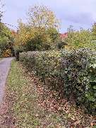 GrünWerk Daniel Bodenstab - IMG_0348.jpeg