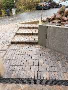 GrünWerk Daniel Bodenstab - IMG_0365.jpeg