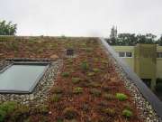 Gurr Garten- und Landschaftsbau GmbH - GALLERY