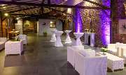 Gut Cones - Event Location - GALLERY