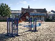 Gut Einhaus - Gut Einhaus Herzlake, exklusivste Reitsport- und Hofanlage Deutschlands mit Pferdesport-Areal, Emsland, Hofanlage, Pferdesportanlage, Reitturniere, Reitsport, Reitsportanlage, Pferdereiten, Pferdeveranstaltungen, Pferdeveranstaltungen in der