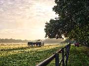 Gut Einhaus - Gut Einhaus Herzlake, exklusivste Reitsport- und Hofanlage Deutschlands mit Pferdesport-Areal, Emsland, Hofanlage, Pferdesportanlage, Reitturniere, Reitsport, Reitsportanlage, Pferdereiten, Pferdeveranstaltungen, Pferdeveranstaltungen in der