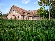 Gut Einhaus - Gut Einhaus Herzlake, exklusivste Reitsport- und Hofanlage Deutschlands mit Pferdesport-Areal, Emsland, Hofanlage, Pferdesportanlage, Reitturniere, Reitsport, Reitsportanlage, Pferdereiten, Pferdeveranstaltungen, Pferdeveranstaltungen in der