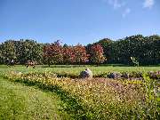 Gut Einhaus - Gut Einhaus Herzlake, exklusivste Reitsport- und Hofanlage Deutschlands mit Pferdesport-Areal, Emsland, Hofanlage, Pferdesportanlage, Reitturniere, Reitsport, Reitsportanlage, Pferdereiten, Pferdeveranstaltungen, Pferdeveranstaltungen in der