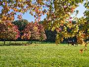 Gut Einhaus - Gut Einhaus Herzlake, exklusivste Reitsport- und Hofanlage Deutschlands mit Pferdesport-Areal, Emsland, Hofanlage, Pferdesportanlage, Reitturniere, Reitsport, Reitsportanlage, Pferdereiten, Pferdeveranstaltungen, Pferdeveranstaltungen in der