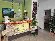 Gut zu Fuß - GALLERY