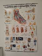 Gut zu Fuß - GALLERY