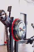 GYM Lounge Fitnessstudio Cottbus - GALLERY