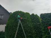 H.B.SERVICE Holger Brandt - 4