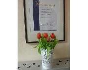 Haare & Co Corinna Hentschke - GALLERY