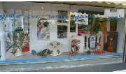 Haarscharf bei Antonella - GALLERY
