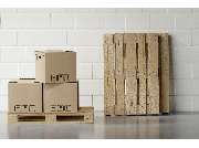 Haas Paletten GmbH - GALLERY