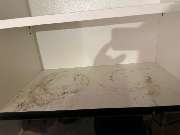 HafenGlanz - e8994b76-e1dd-42a3-8ccb-8d21ebb49bbd.jpeg