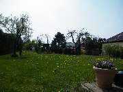 HAFF - Immobilien - 5