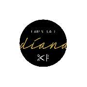 Hair & Flair Diana - LOGO