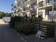 Hajo Rumpf Garten- und Landschaftsbau GmbH - 7