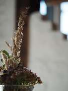 Hallenser Kartoffelhaus - c91594b6-c713-4da5-b3c5-320711094d88.jpg