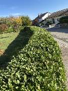 HANDWERKER - IMG_1771.jpeg