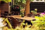 Hanedan Restaurant & Cafe - GALLERY