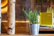 HANS IM GLÜCK - STUTTGART Europaviertel - GALLERY