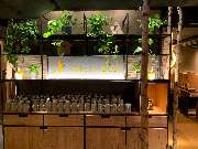 HANS IM GLÜCK - ULM Münsterplatz - GALLERY