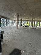 Hansa needs it - 141fb367-6c7a-4243-981c-8d3668401804.JPG