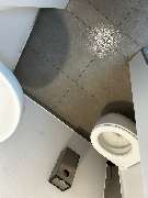 Hansa needs it - c3769f7c-2ecb-413e-8b26-1296d4ad5a95.JPG