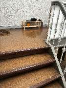 Hansa needs it - e69b6cf8-dd59-4d20-bac3-00ea0b8c1b17.JPG