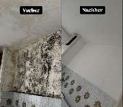 Hansa needs it - IMG_7657.jpg