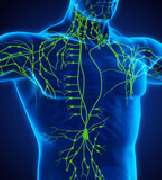 HansePhysio - Manuelle Lymphdrainage