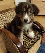 harmonisch unterwegs - GALLERY