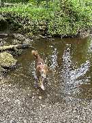 harmonisch unterwegs - GALLERY