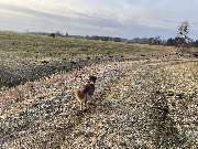 harmonisch unterwegs - GALLERY