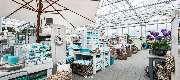 Harms Sylt - GALLERY