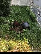 Harry's Haus- & Gartenservice - 12