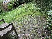 Harry's Haus- & Gartenservice - 13