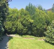 Harry's Haus- & Gartenservice - 13