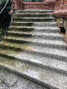 Harry's Haus- & Gartenservice - 15